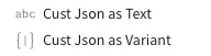 Column headers for customer JSON text and customer JSON variant data, each with its corresponding data type icon.