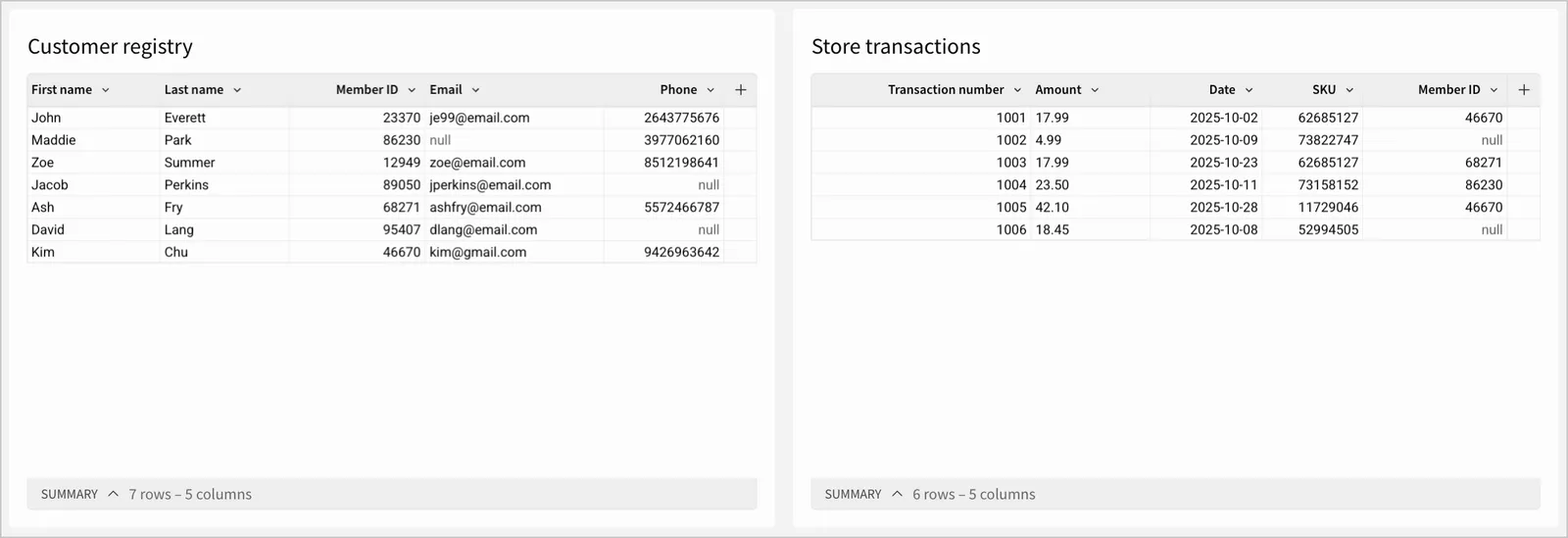 Customer registry and store transactions tables side by side.