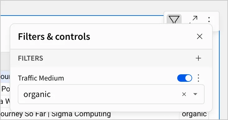 Filters & Controls panel with an enabled Traffic Medium list filter set to organic.