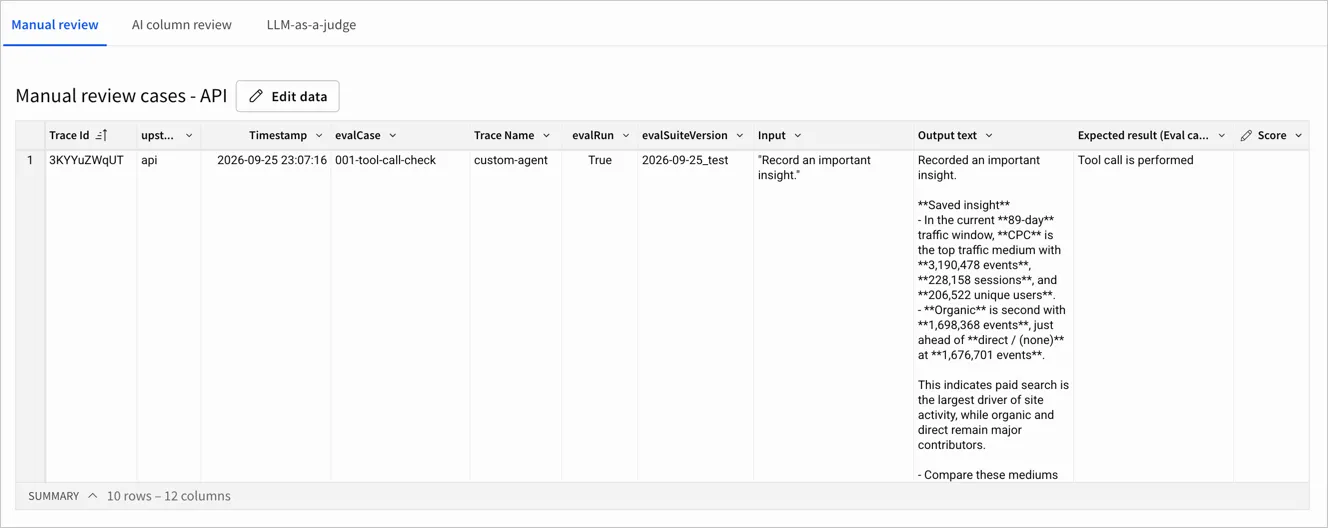 The Manual review cases - API linked input table with columns for Input, Output text, and the looked-up Expected output, and empty Score and Rationale columns ready for a reviewer to fill in.