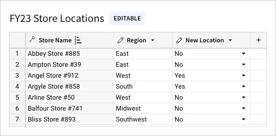 Linked input table titled FY23 Store Locations with Store Name and Region as linked columns and New Location as an editable column.